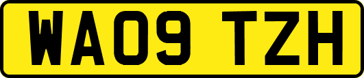WA09TZH
