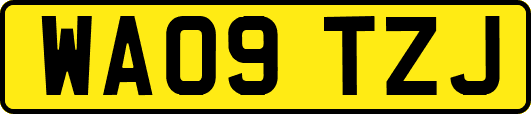 WA09TZJ