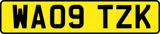 WA09TZK
