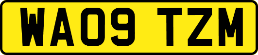 WA09TZM