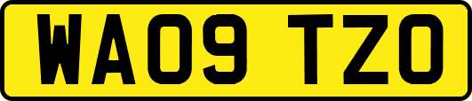 WA09TZO