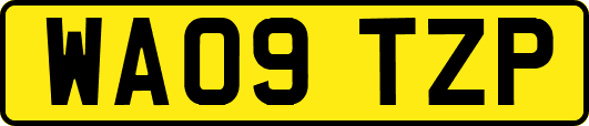 WA09TZP