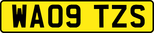 WA09TZS