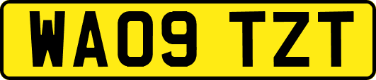 WA09TZT