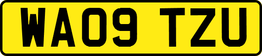 WA09TZU