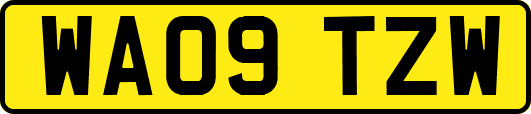 WA09TZW