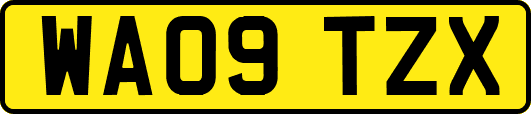 WA09TZX
