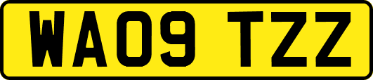 WA09TZZ