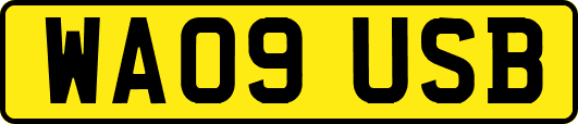 WA09USB