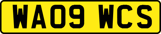WA09WCS