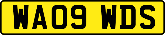 WA09WDS