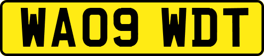 WA09WDT