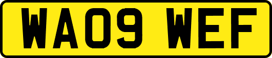 WA09WEF