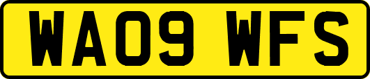 WA09WFS