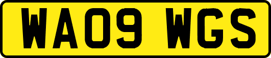 WA09WGS