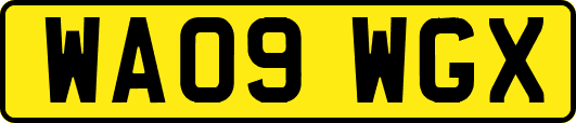 WA09WGX