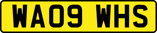 WA09WHS