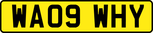 WA09WHY