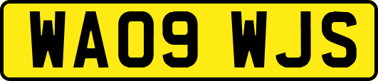 WA09WJS