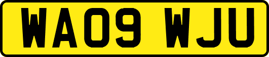 WA09WJU