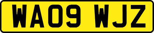 WA09WJZ
