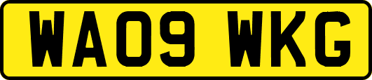 WA09WKG