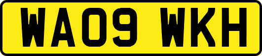 WA09WKH