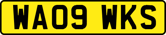 WA09WKS