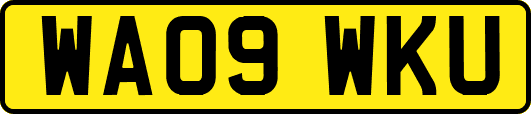 WA09WKU