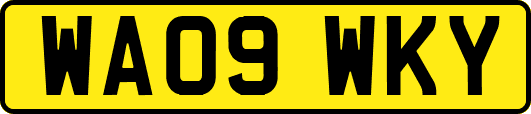 WA09WKY