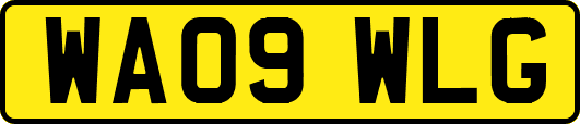 WA09WLG