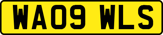 WA09WLS
