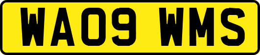 WA09WMS