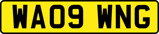 WA09WNG