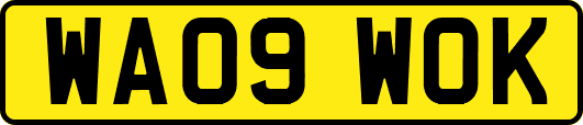 WA09WOK