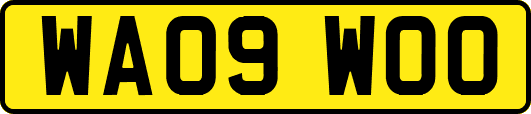 WA09WOO