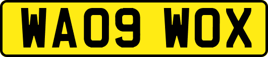 WA09WOX