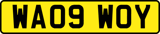 WA09WOY