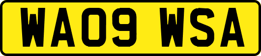 WA09WSA