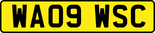 WA09WSC