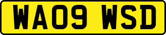 WA09WSD
