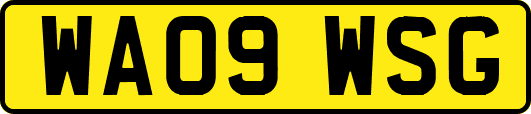 WA09WSG