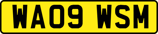 WA09WSM