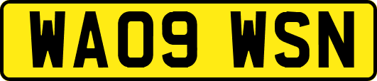 WA09WSN