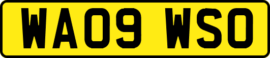 WA09WSO