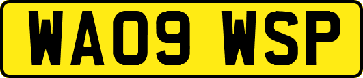 WA09WSP