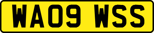 WA09WSS