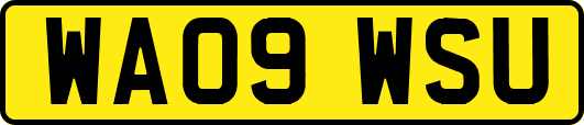 WA09WSU