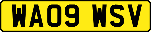 WA09WSV