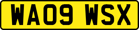 WA09WSX